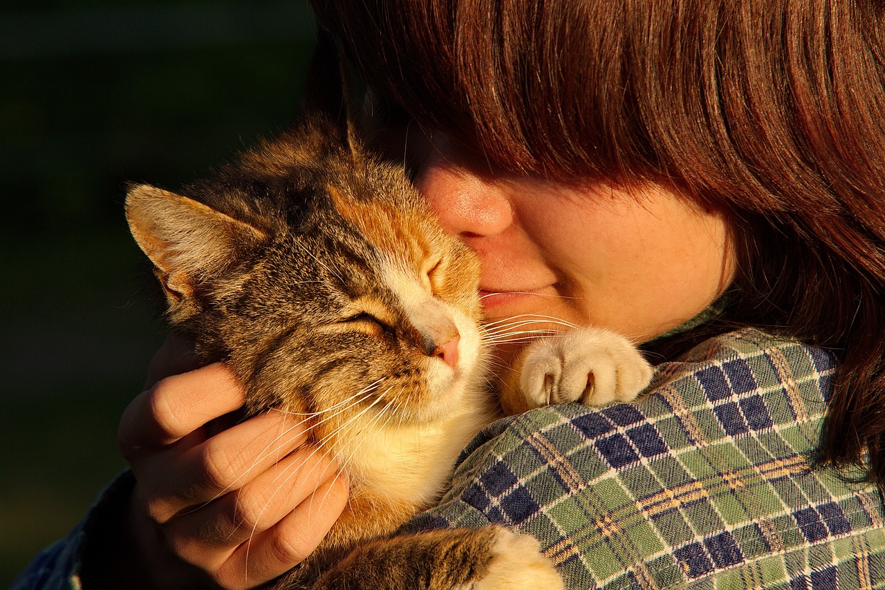 How to Plan a Pet Adoption Awareness Month